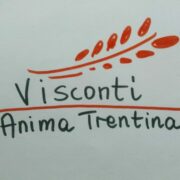(c) Viscontitn.it